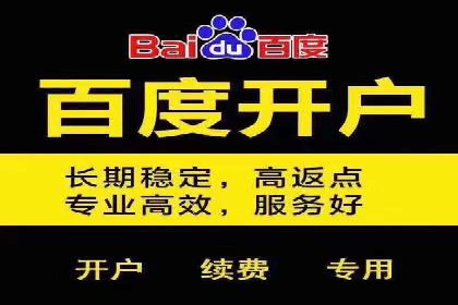竞价端口开户后的广告投放策略案例